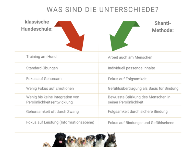 Grafik Pro und Contra in der Hundeerziehung