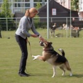 Bild Hundetraining in der Stadt Offenburg 3