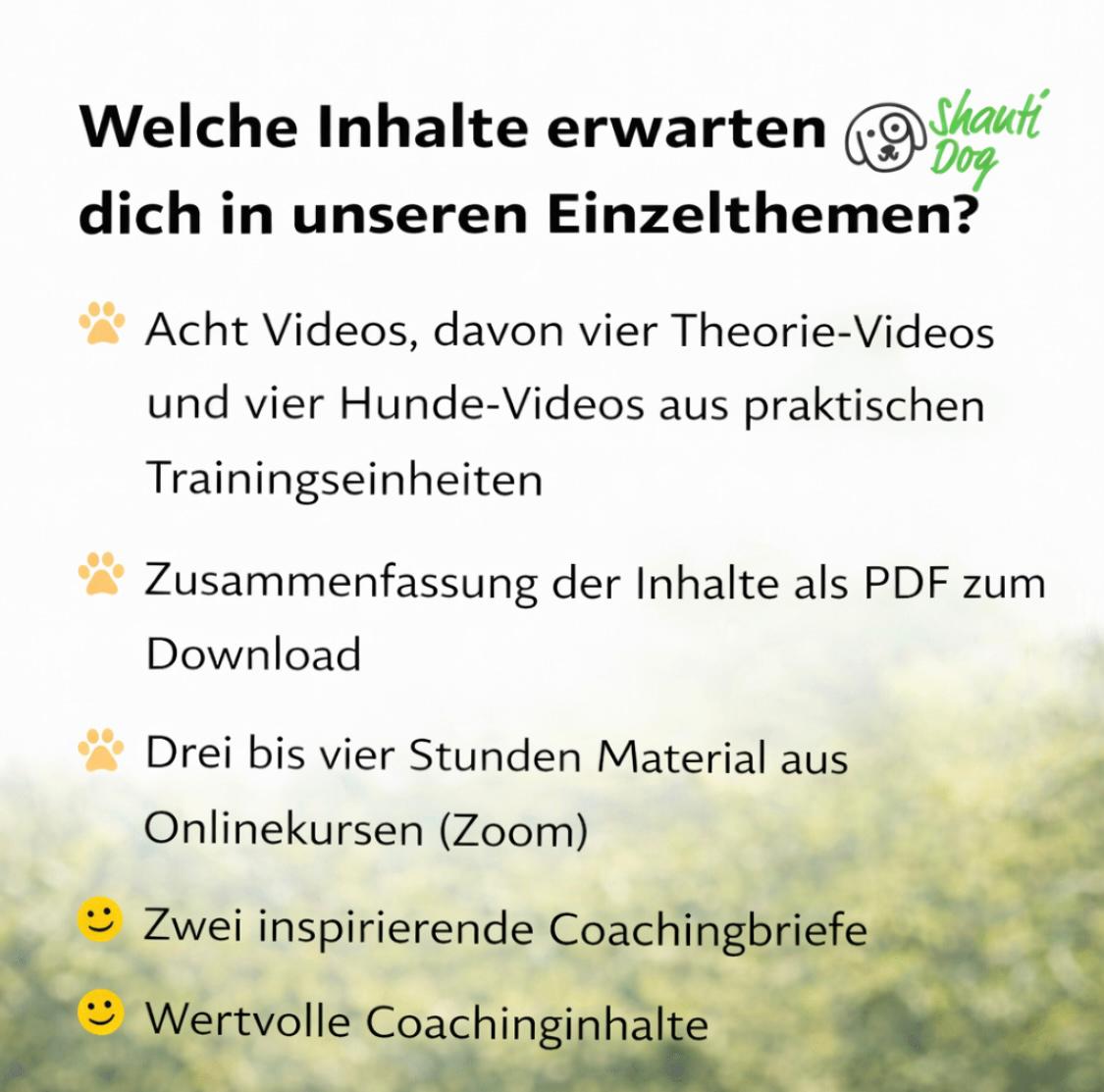 Hundeschule Training Theorie und Praxis