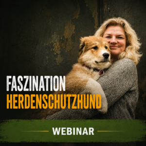 "Faszination Herdenschutzhund" - Webinar