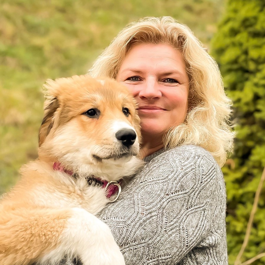 "Faszination Herdenschutzhund" - Webinar