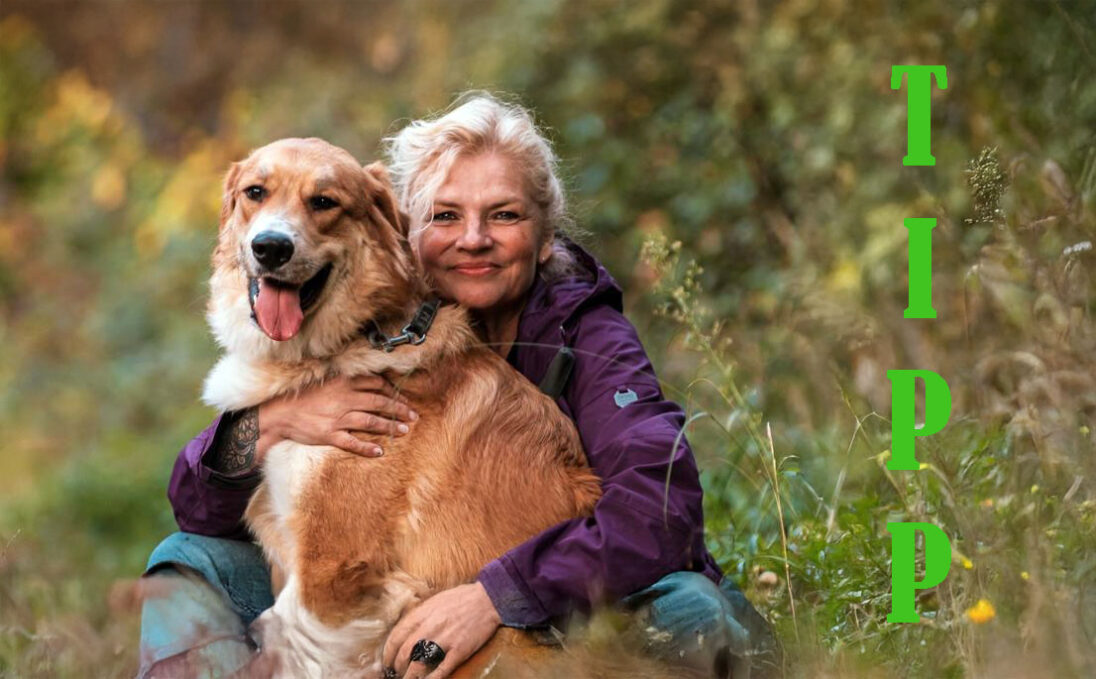 Tipp - Shanti Dog