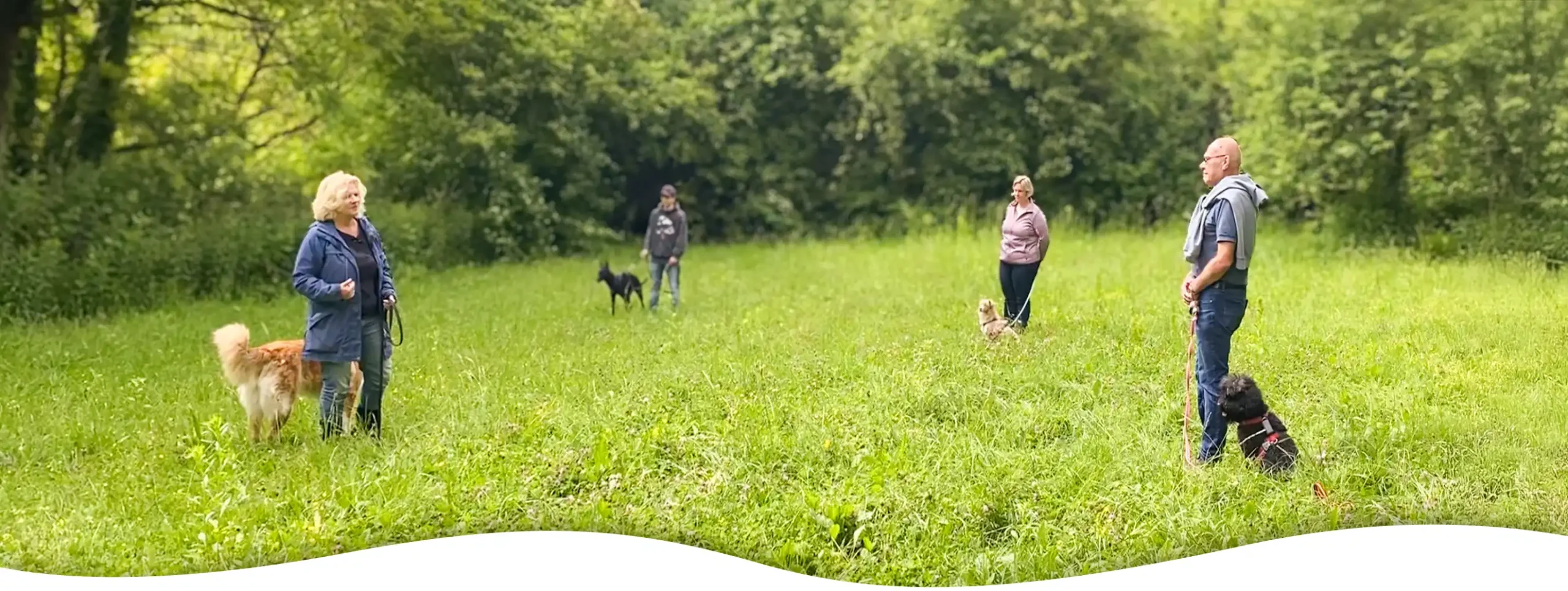 Shanti-Dog Hundeschule Kurse Training