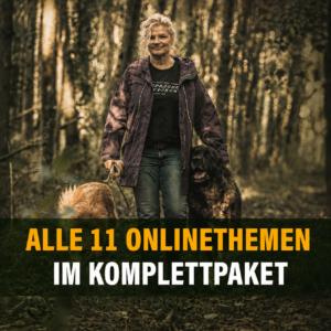 11 Themen Komplettpaket