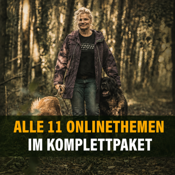 11 Themen Komplettpaket