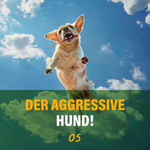 Download-Thema: Der aggressive Hund