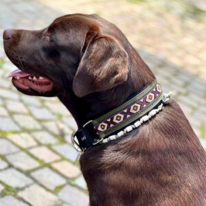 Halsband Special breit