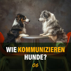 Themen zum Download: Wie kommunizieren Hunde