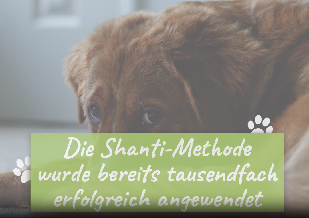 Basistraining online Bild 4