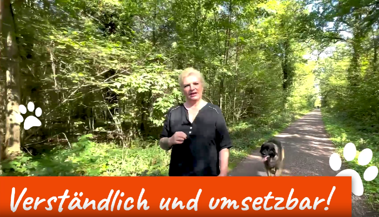 Basistraining online Bild 3