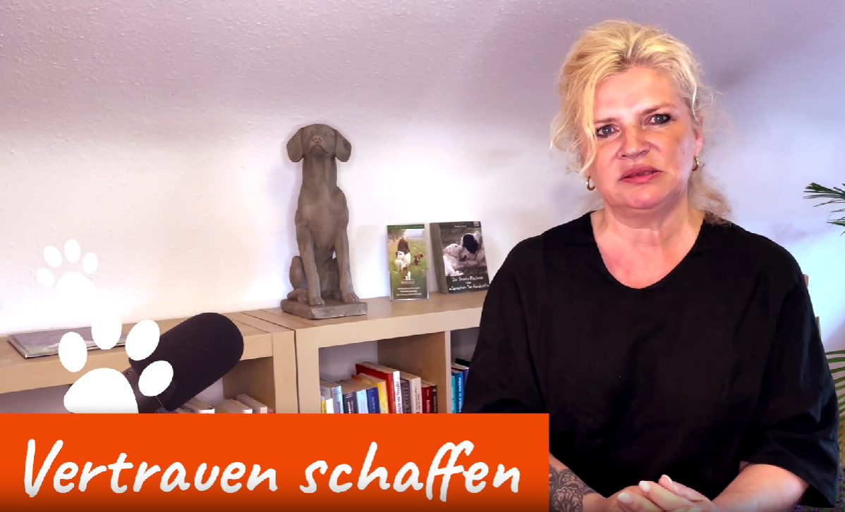 Basistraining online Bild 7