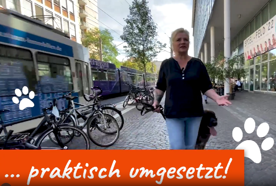 Basistraining online Bild 8