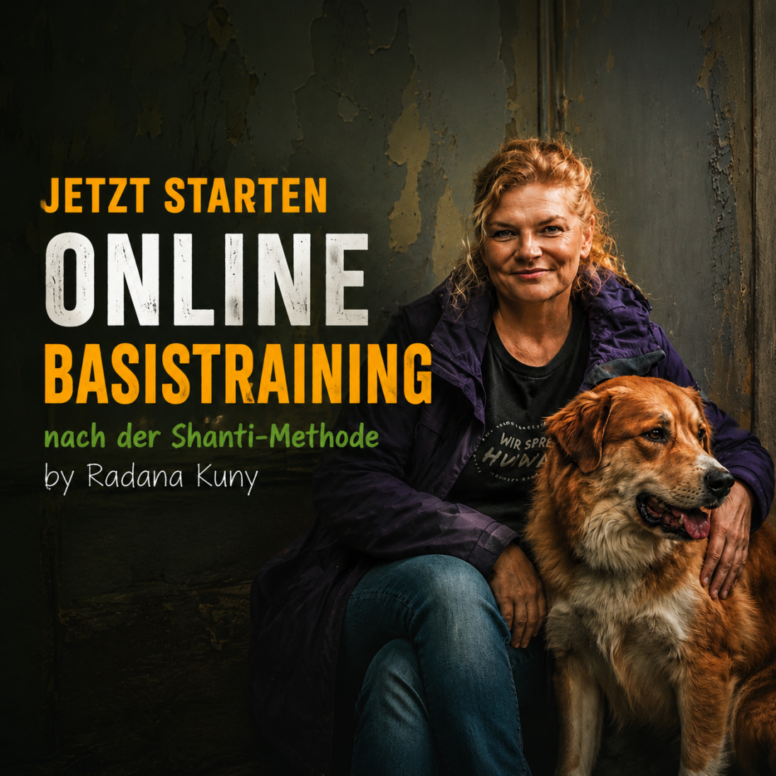 Basistraining online