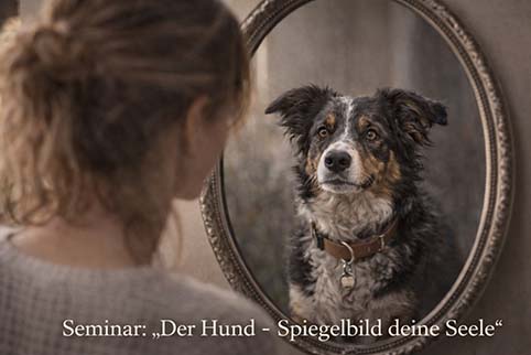 Seminar Der Hund – Spiegelbild deiner Seele