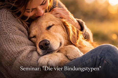 Seminar Die vier Bindungstypen – Beziehung zwischen Mensch und Hund