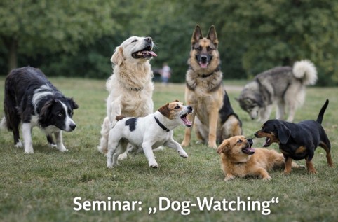 Seminar Dog Watching