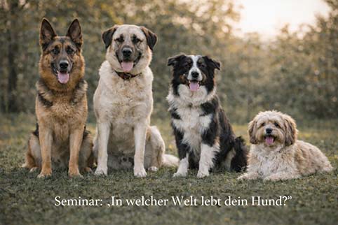 Seminar In welcher Welt lebt dein Hund
