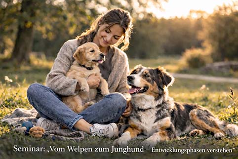 Seminar Vom Welpen zum Junghund - Entwicklungsphasen verstehen