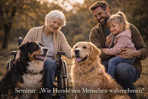 Seminar Wie Hunde uns Menschen wahrnehmen