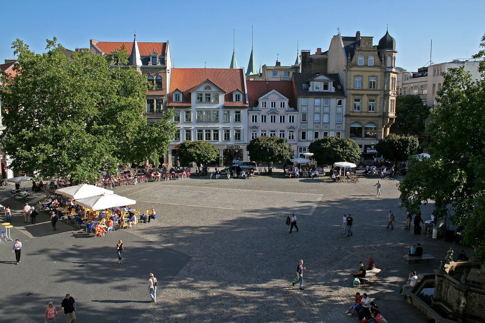 Braunschweig: Stadtansicht im Hunde-Almanach