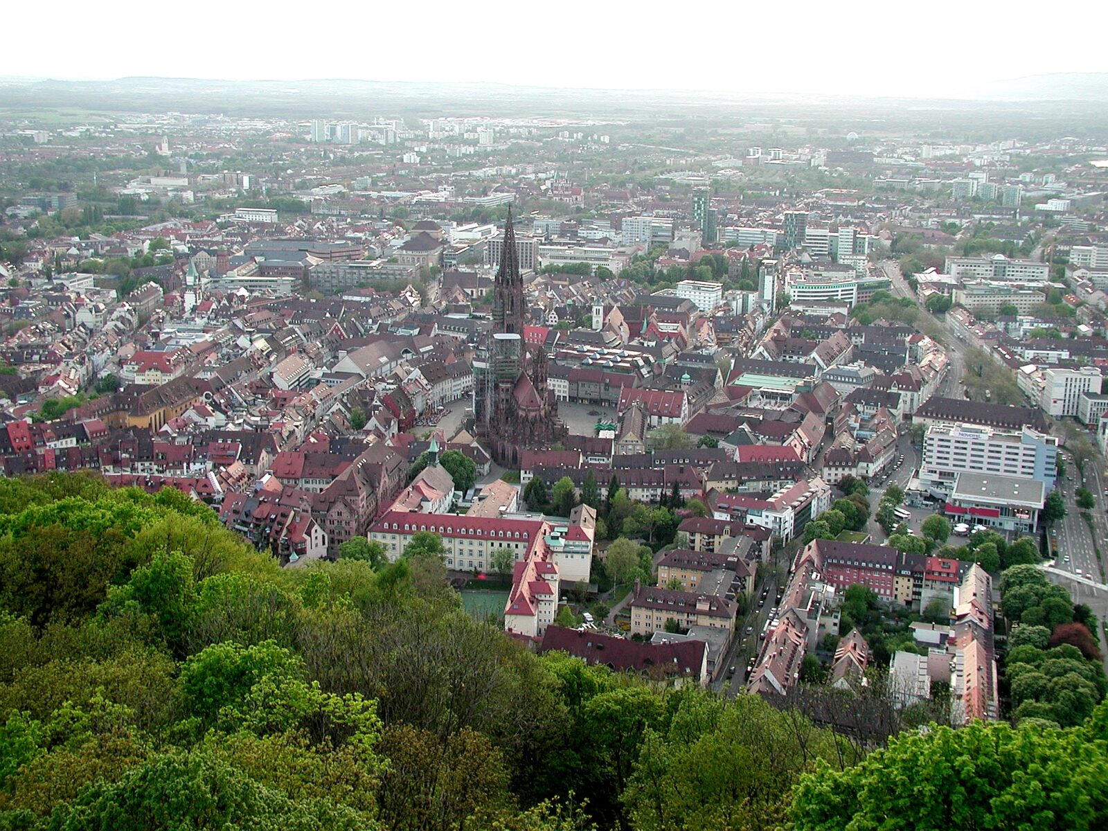 Freiburg: Stadtansicht im Hunde-Almanach