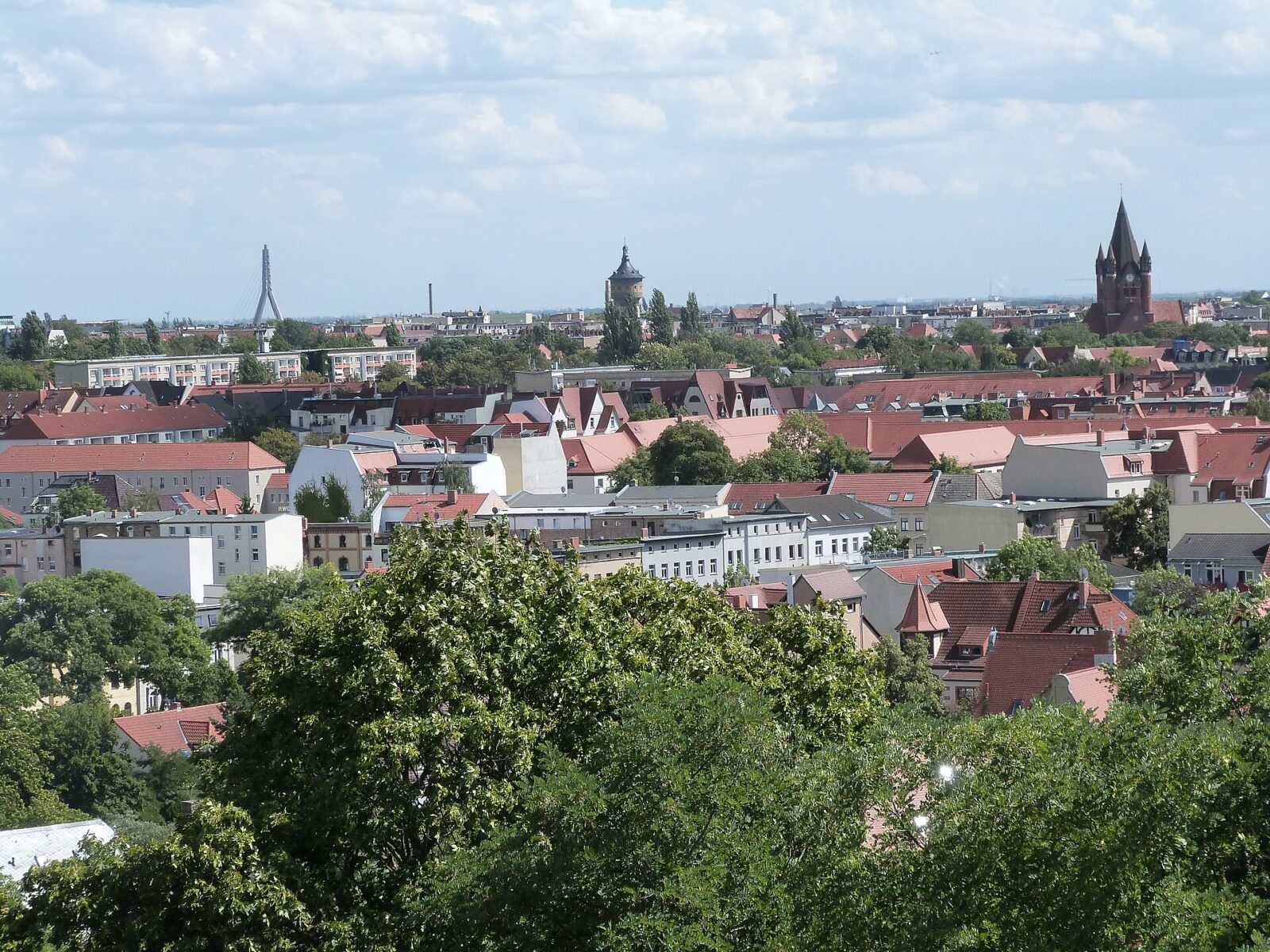 Halle (Saale): Stadtansicht im Hunde-Almanach