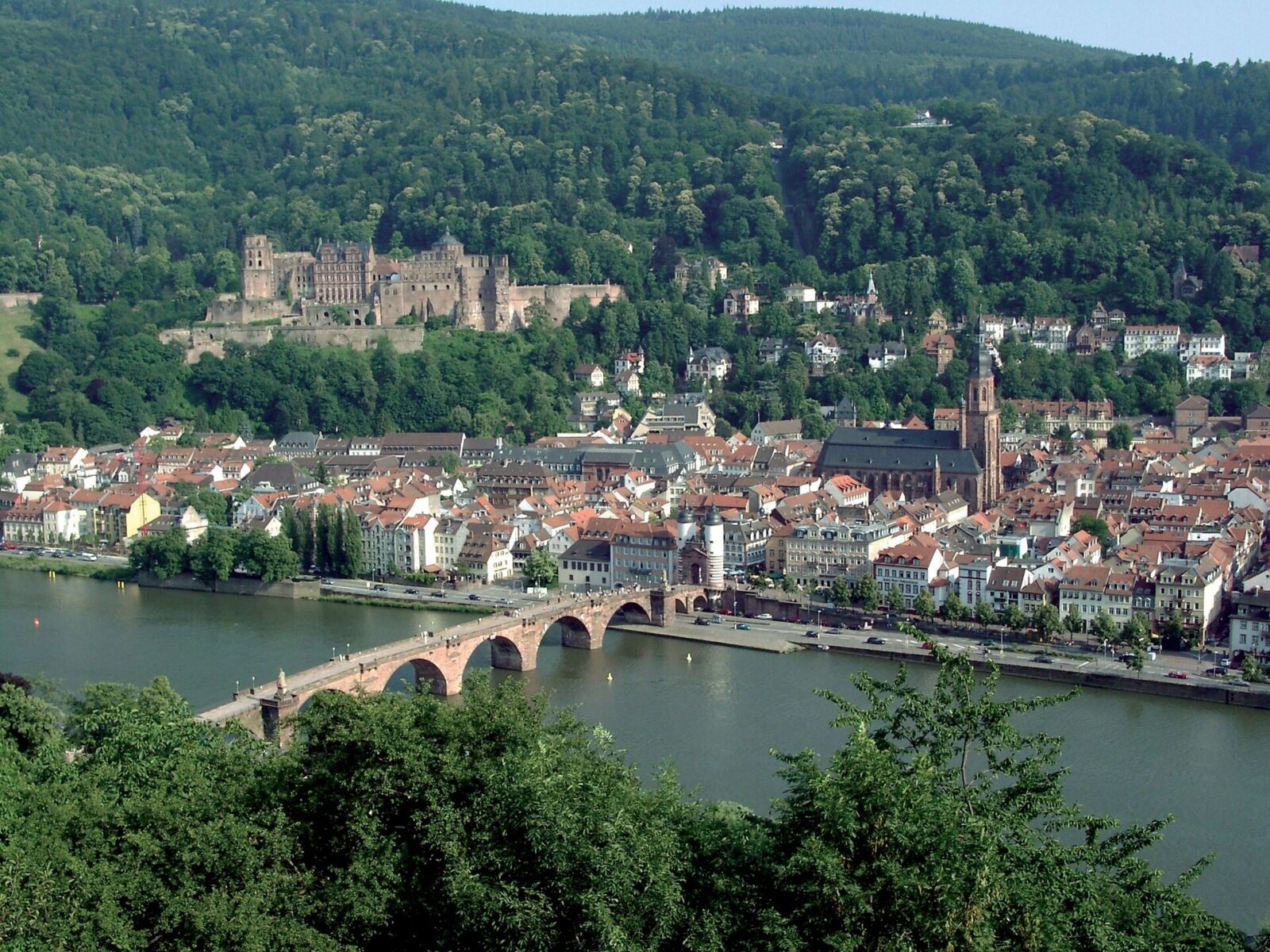 Heidelberg: Stadtansicht im Hunde-Almanach