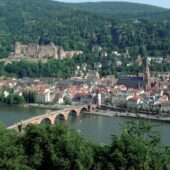 Heidelberg mit Hund: Regeln, Hundeschulen & Alltag Heidelberg: Stadtansicht im Hunde-Almanach