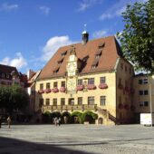 Heilbronn mit Hund: Regeln, Hundeschulen & Alltag Heilbronn: Stadtansicht im Hunde-Almanach