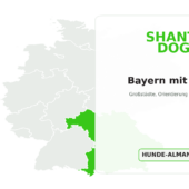 Bayern mit Hund Deutschlandkarte: Bayern mit Hund