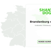 Deutschlandkarte: Brandenburg mit Hund