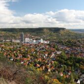 Jena mit Hund: Regeln, Hundeschulen & Alltag Jena: Stadtansicht im Hunde-Almanach