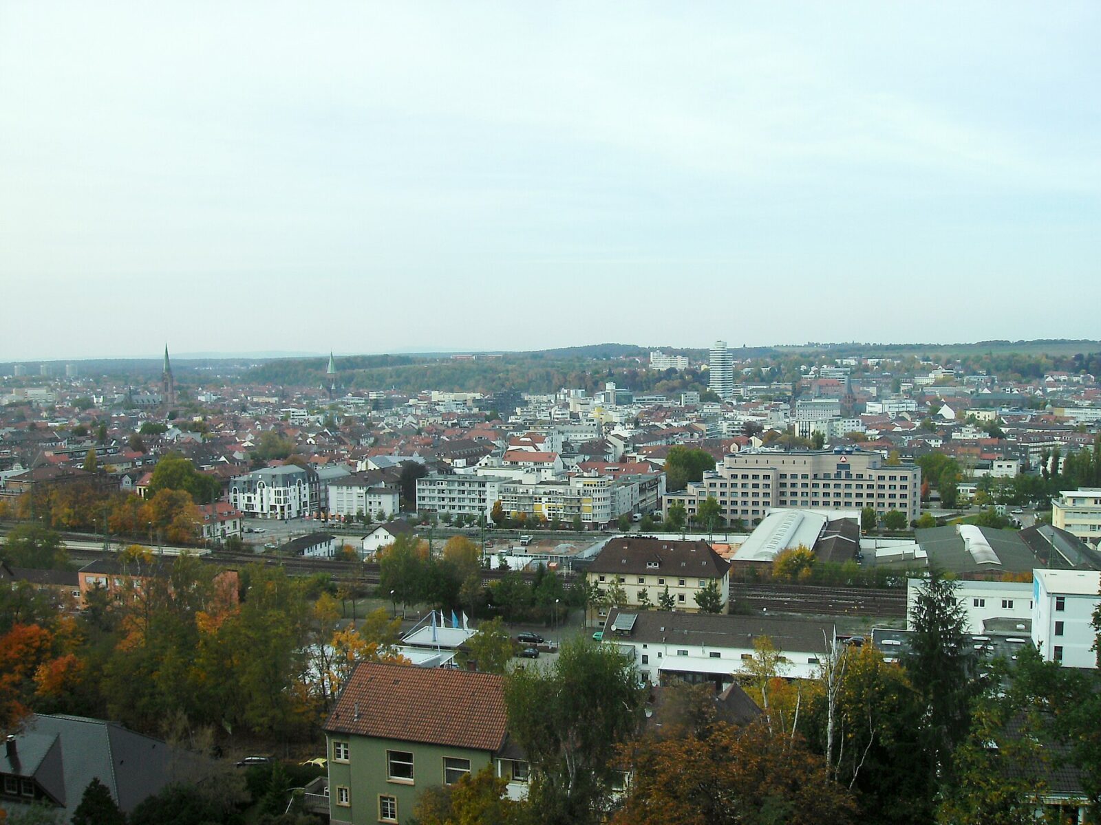 Kaiserslautern: Stadtansicht im Hunde-Almanach