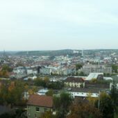 Kaiserslautern mit Hund: Regeln, Hundeschulen & Alltag Kaiserslautern: Stadtansicht im Hunde-Almanach