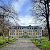 Leverkusen mit Hund: Regeln, Hundeschulen & Alltag Leverkusen: Stadtansicht im Hunde-Almanach