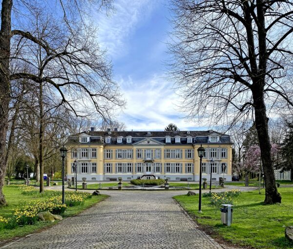 Leverkusen mit Hund: Regeln, Hundeschulen & Alltag Leverkusen: Stadtansicht im Hunde-Almanach