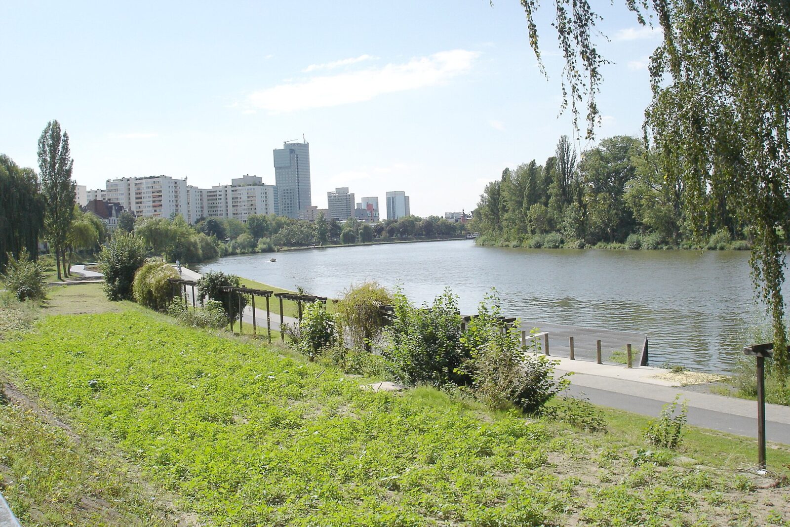 Offenbach am Main: Stadtansicht im Hunde-Almanach