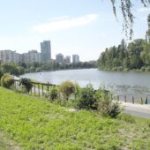 Offenbach am Main mit Hund: Regeln, Hundeschulen & Alltag Offenbach am Main: Stadtansicht im Hunde-Almanach