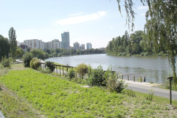 Offenbach am Main mit Hund: Regeln, Hundeschulen & Alltag Offenbach am Main: Stadtansicht im Hunde-Almanach