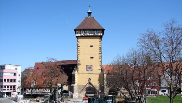 Reutlingen: Stadtansicht im Hunde-Almanach