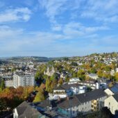 Siegen mit Hund: Regeln, Hundeschulen & Alltag Siegen: Stadtansicht im Hunde-Almanach