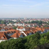 Ulm mit Hund: Regeln, Hundeschulen & Alltag Ulm: Stadtansicht im Hunde-Almanach