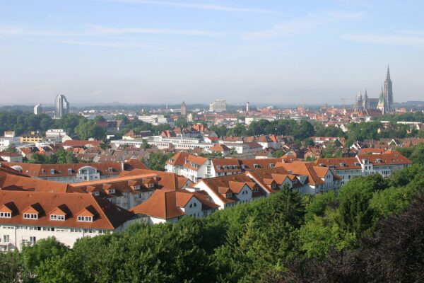 Ulm: Stadtansicht im Hunde-Almanach